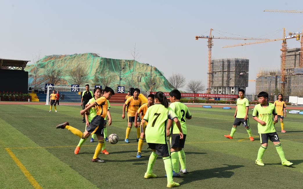 给力!临潼喜提全省唯一“国字号”荣誉!