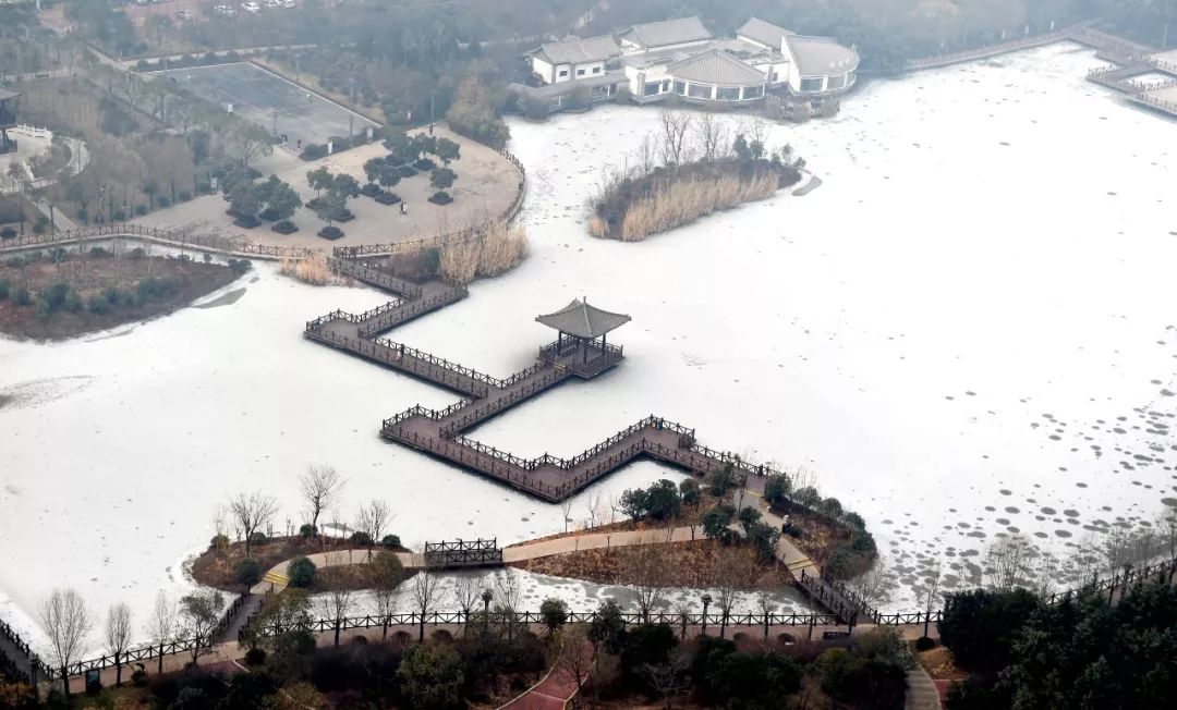 洛阳夜晚网红打卡圣地,洛阳广州市场网红打卡地