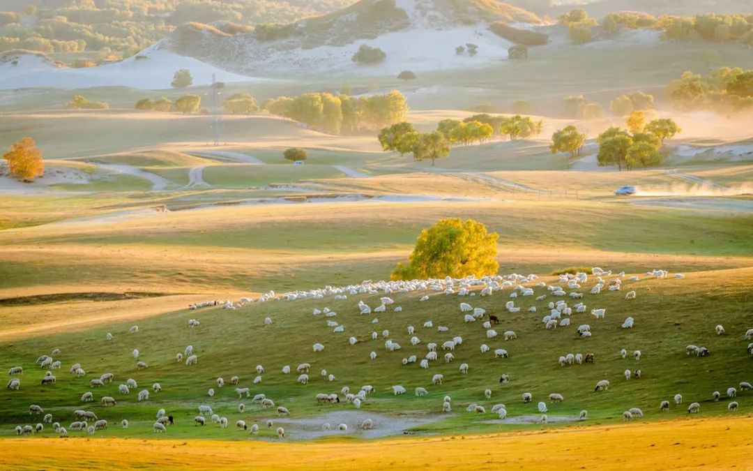 经典央视歌曲,央视经典背景音乐