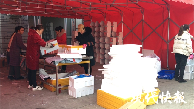 渔二代最新视频,渔二代直播卖海鲜