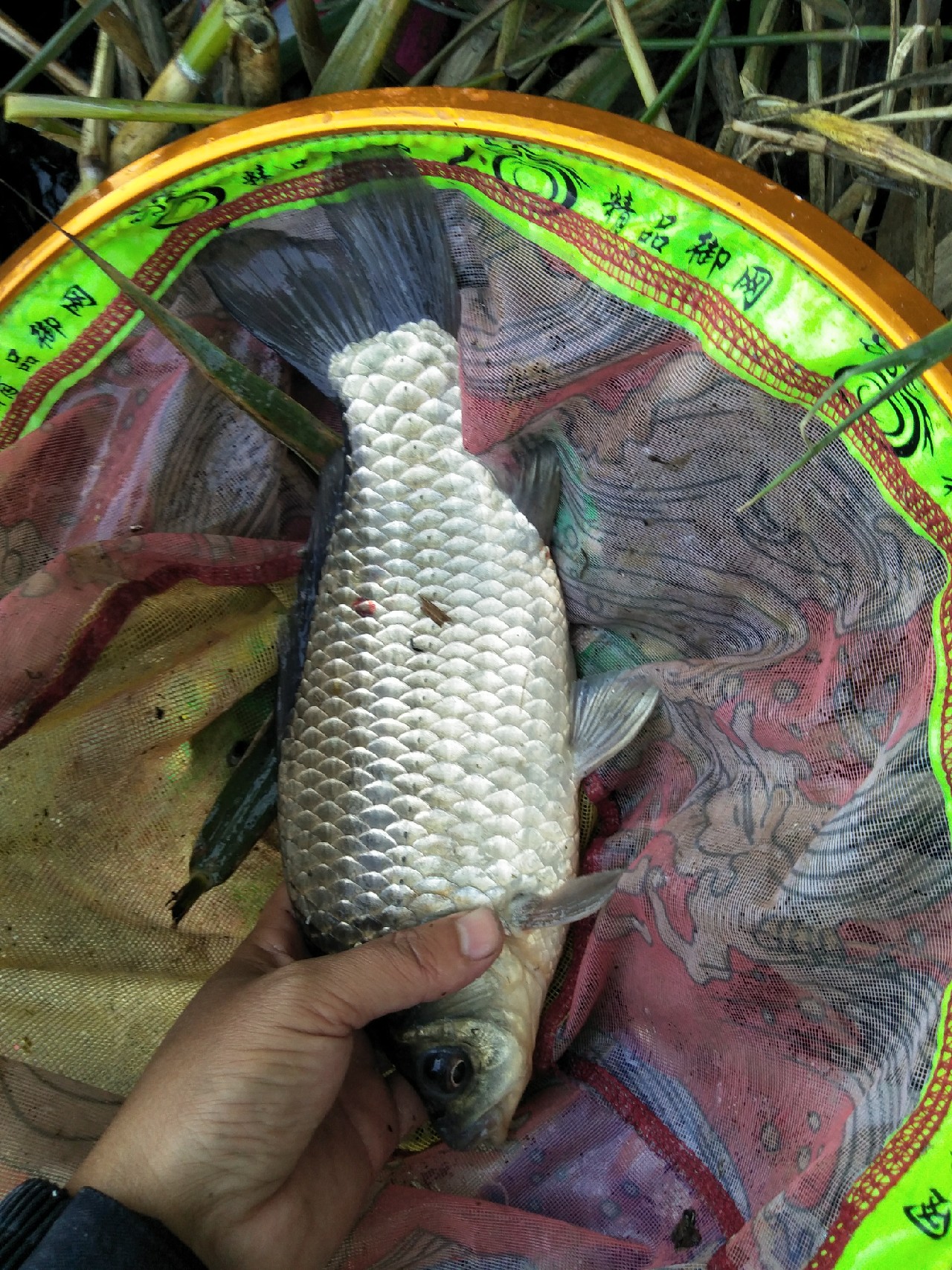 矶竿浮球钓法,矶竿岸筏怎么用