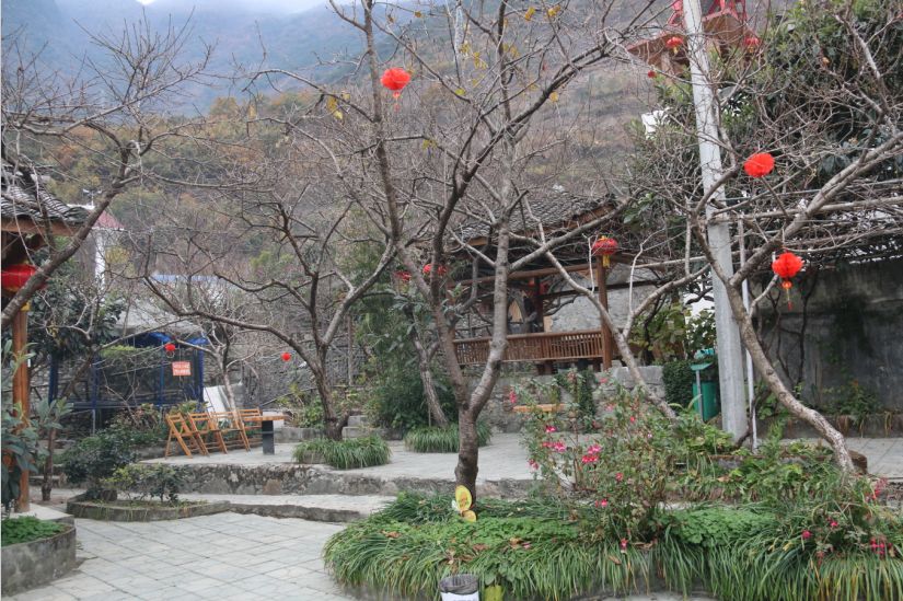 泸定县现代农业,泸定新商机