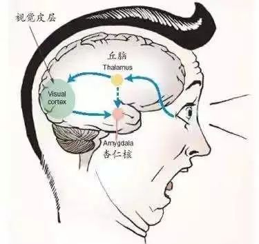 噪音会对心血管造成影响吗,什么噪音对身体最不好