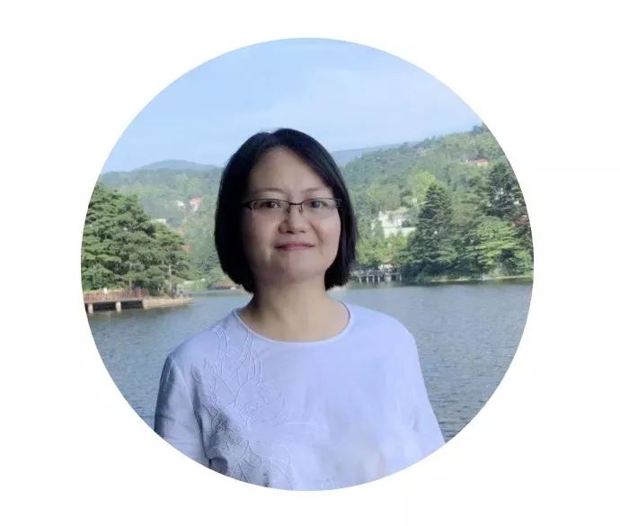 巴西世界杯吉祥物犰狳,巴西吉祥物世界杯