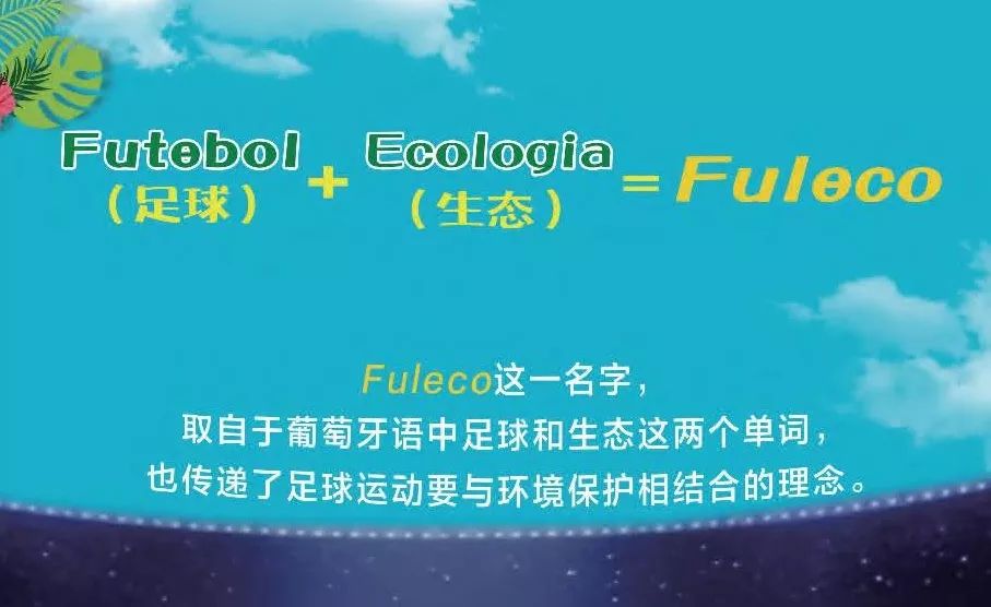 2014年世界杯吉祥物福来哥杯子,巴西吉祥物福来