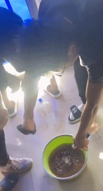 前方高能搞笑视频,前方高能搞笑动画全集