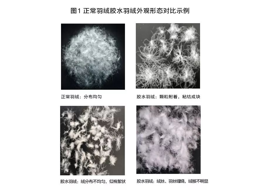 青岛人常买的这些品牌衣服出事儿了！雪中飞、梦特娇……