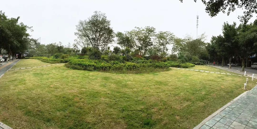 打造特色标杆园区的情况报告,片区改造最新信息