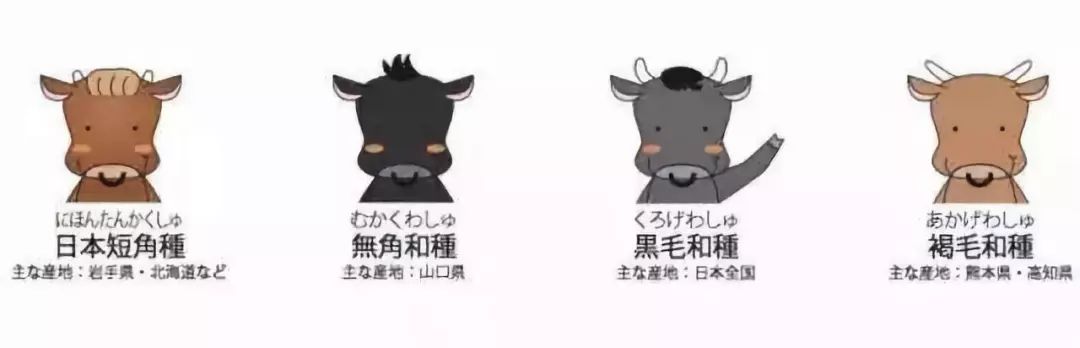 日本和牛进口解禁了吗,日本牛肉解禁对农村有影响吗