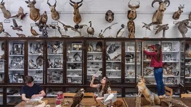 为什么学霸都会选择清华大学,为什么学霸普遍都选择清华