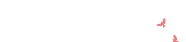 从特斯拉开始的进化,特斯拉加速到极速要多久