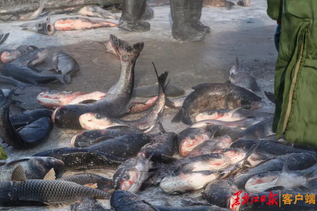 大庆连环湖文化旅游节,大庆市连环湖冰雪旅游节几点开始
