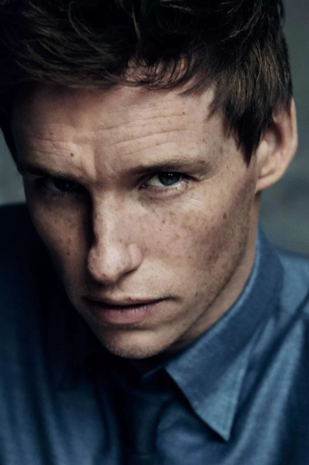 哈利波特奥斯卡颁奖,哈利波特奥斯卡入围