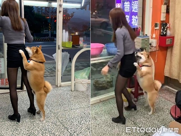 痴汉柴见短裙黑丝辣妹起色心！　双手环抱美腿做不雅动作