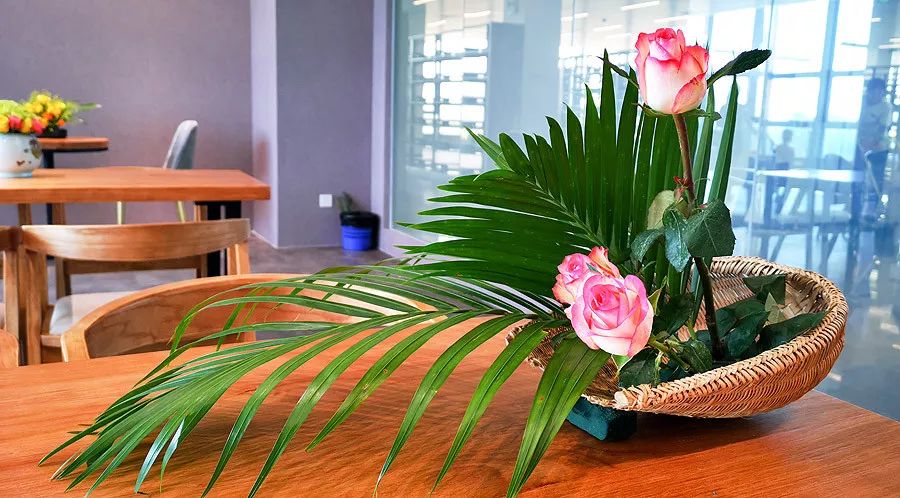 天涯咫尺，如见故人|2019小林摄影总结