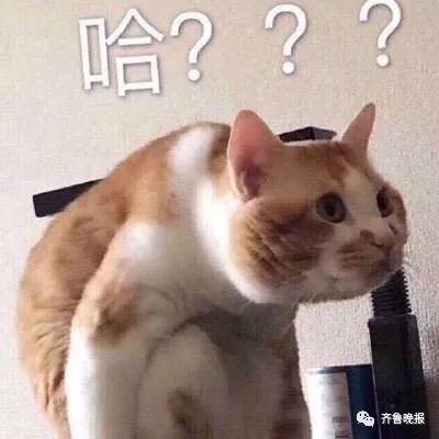 这是什么样的缘分？男子用两个平台抢春运火车票，花两份钱竟然买了同一个座