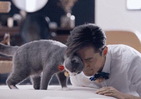 出来混迟早要还在线免费阅读,出来混迟早要还的合集