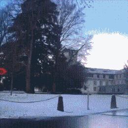 赵文卓子女学费,赵文卓女儿上最贵的学校