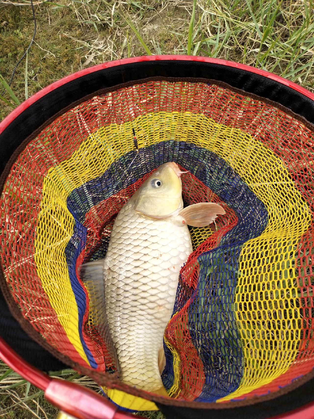 野钓水库位置真的很关键,野钓水库最佳位置图