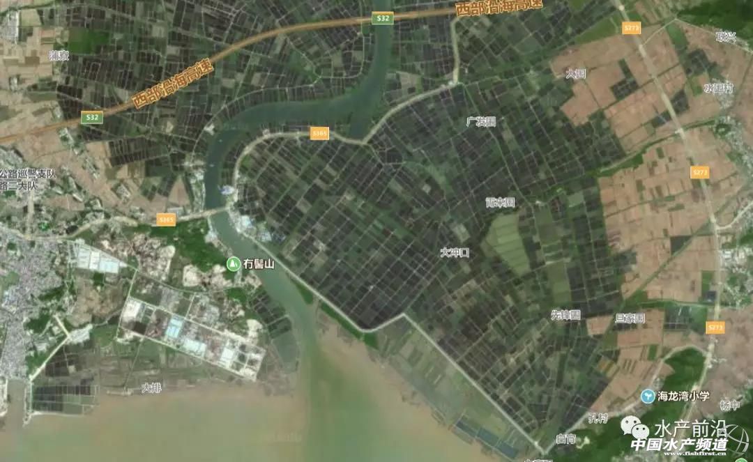 10个人，12口塘，一造虾豪赚132万