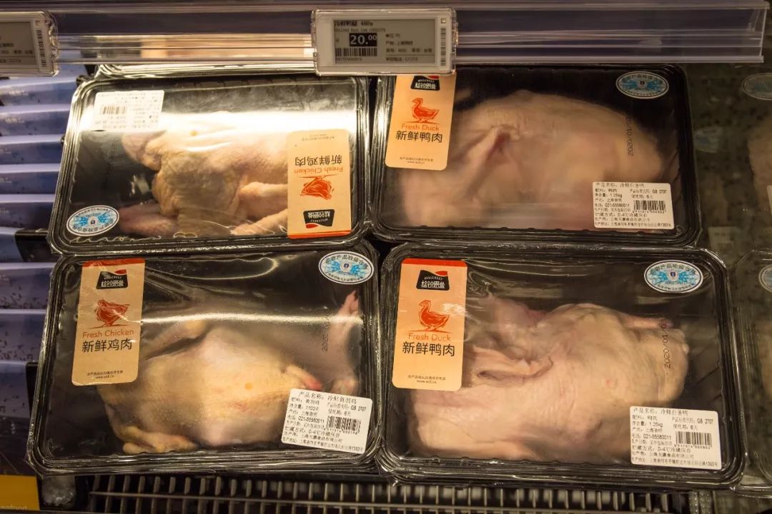 城事纪录片全集,上海城事