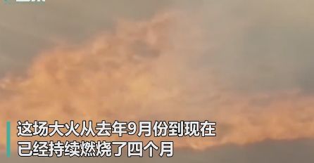 1月7日|新早读来了!惨剧!知名男星哥哥疑勒死妻儿后上吊……