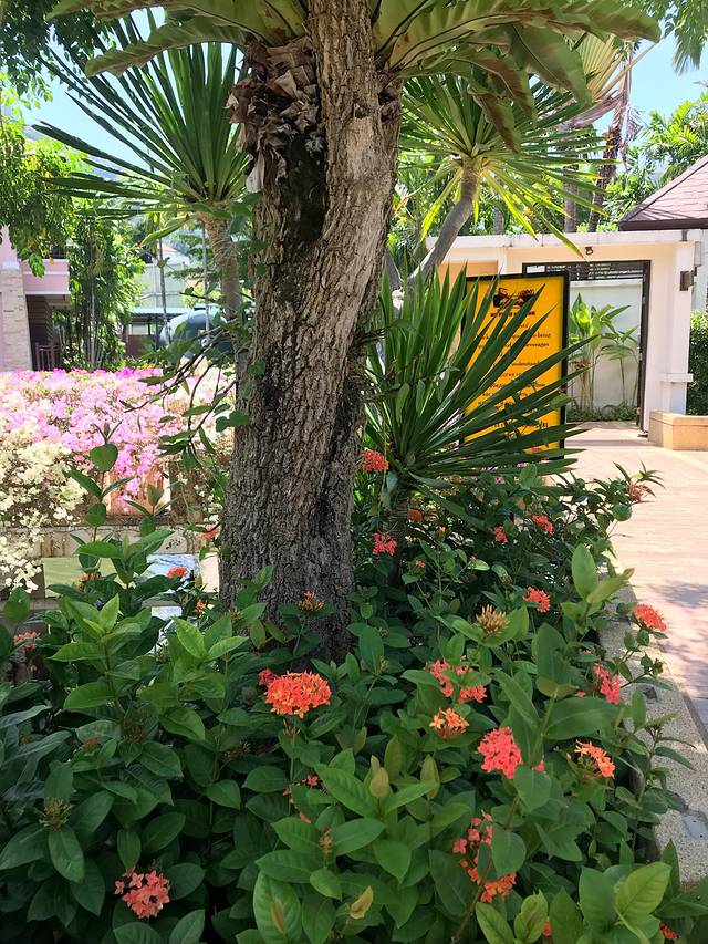 乐此不疲日常版,普吉岛五天四晚自由行