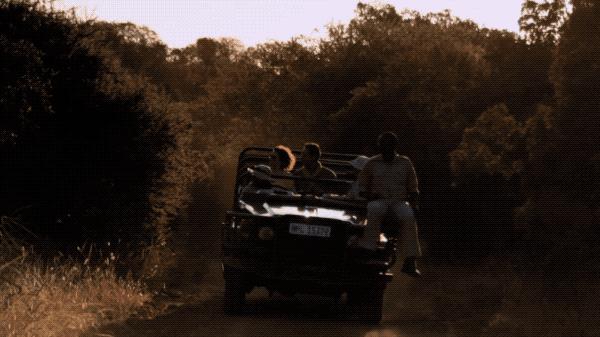 2023年去南非安全吗,国内怎么去南非最划算