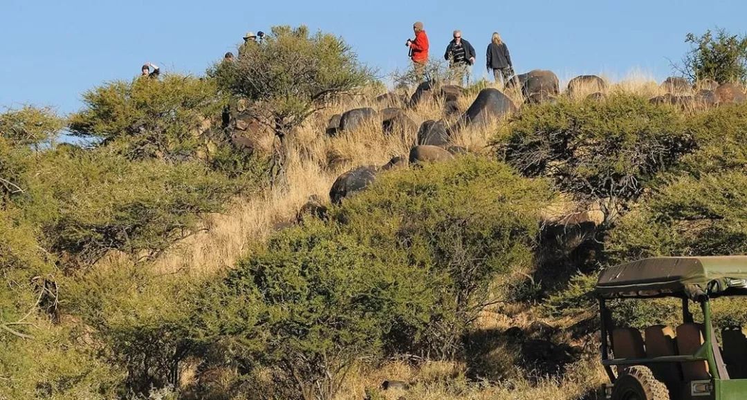 2023年去南非安全吗,国内怎么去南非最划算