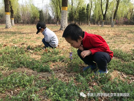 李跃儿芭学园收费标准2021年,李跃儿芭学园