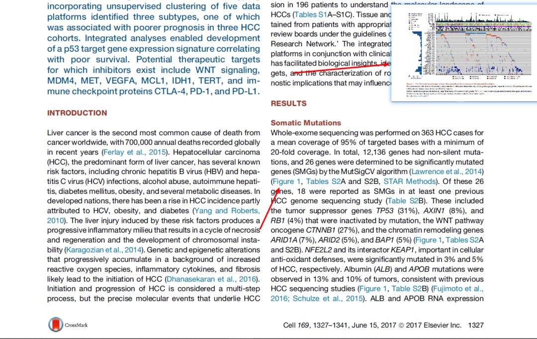 文献拍图工具,看文献截图软件