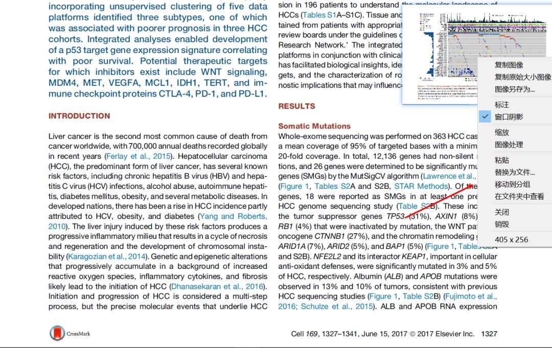 文献拍图工具,看文献截图软件