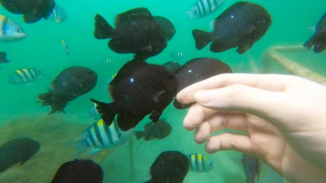 巴厘岛旅游自由行详细攻略,巴厘岛旅行攻略自由行路线图大全