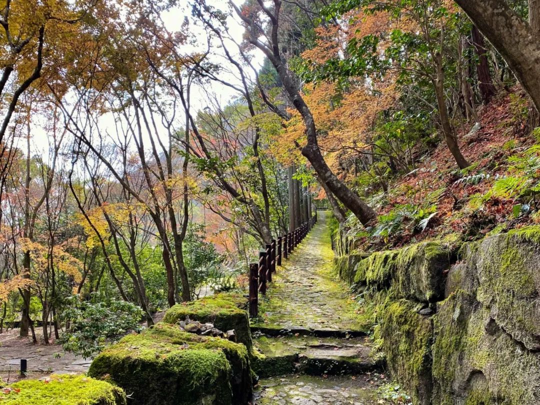 安缦到底有多么奢华,安缦京都