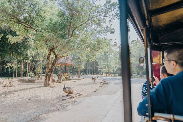 广州长隆野生动物世界旅游攻略,暖冬长隆3天2晚