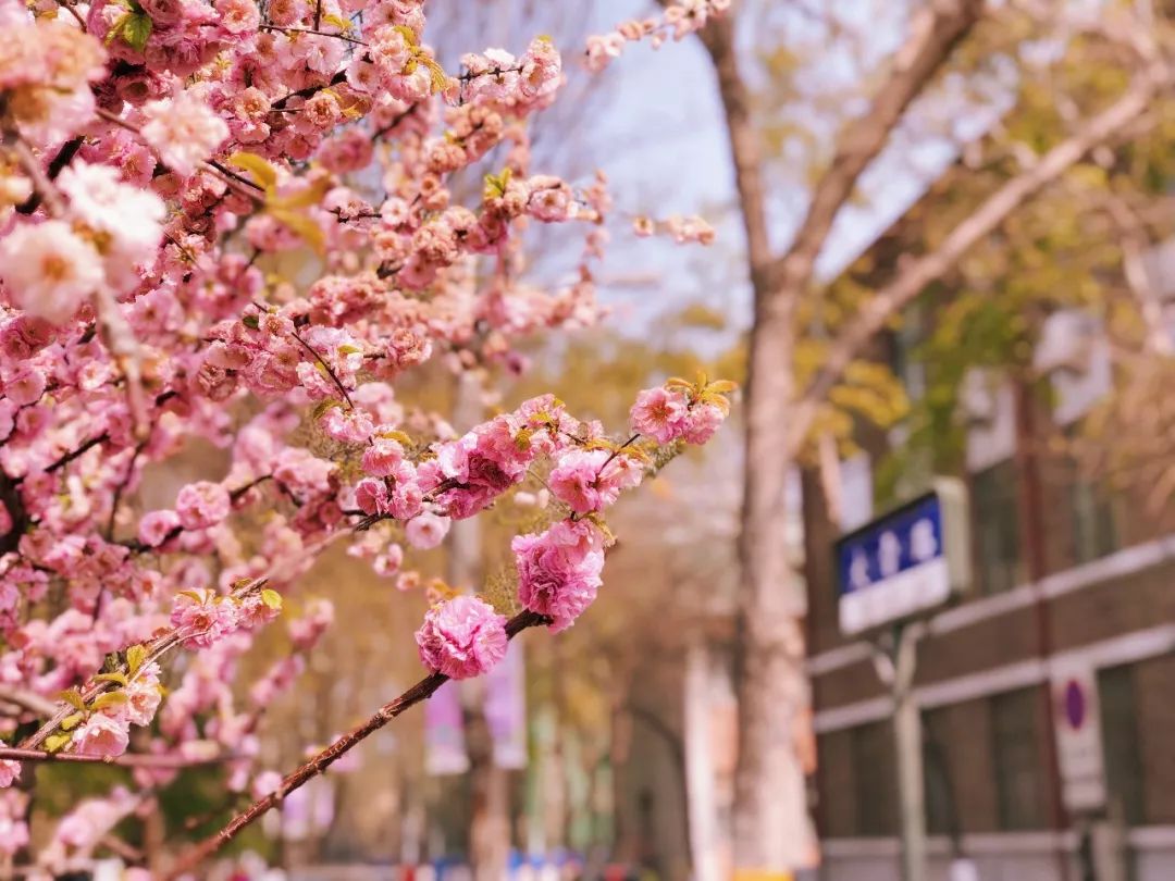 北京出发高铁3小时内旅游攻略,北京高铁2小时到达旅游攻略