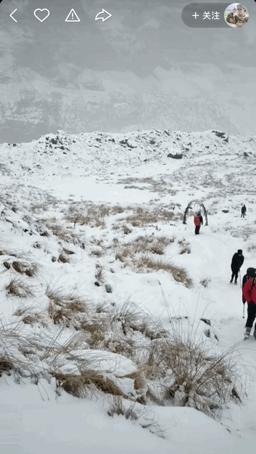 本来想去薅羊毛，却沉迷在这张“活的”地图上……