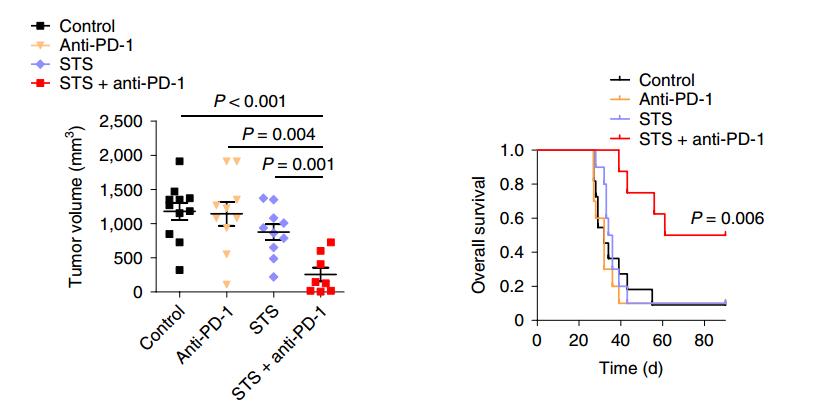 《自然》子刊：轻断食或能增强免疫治疗效果！科学家发现饥饿让非小细胞肺癌对PD-1抗体更敏感，有望解决免疫治疗耐药问题丨科学大发现