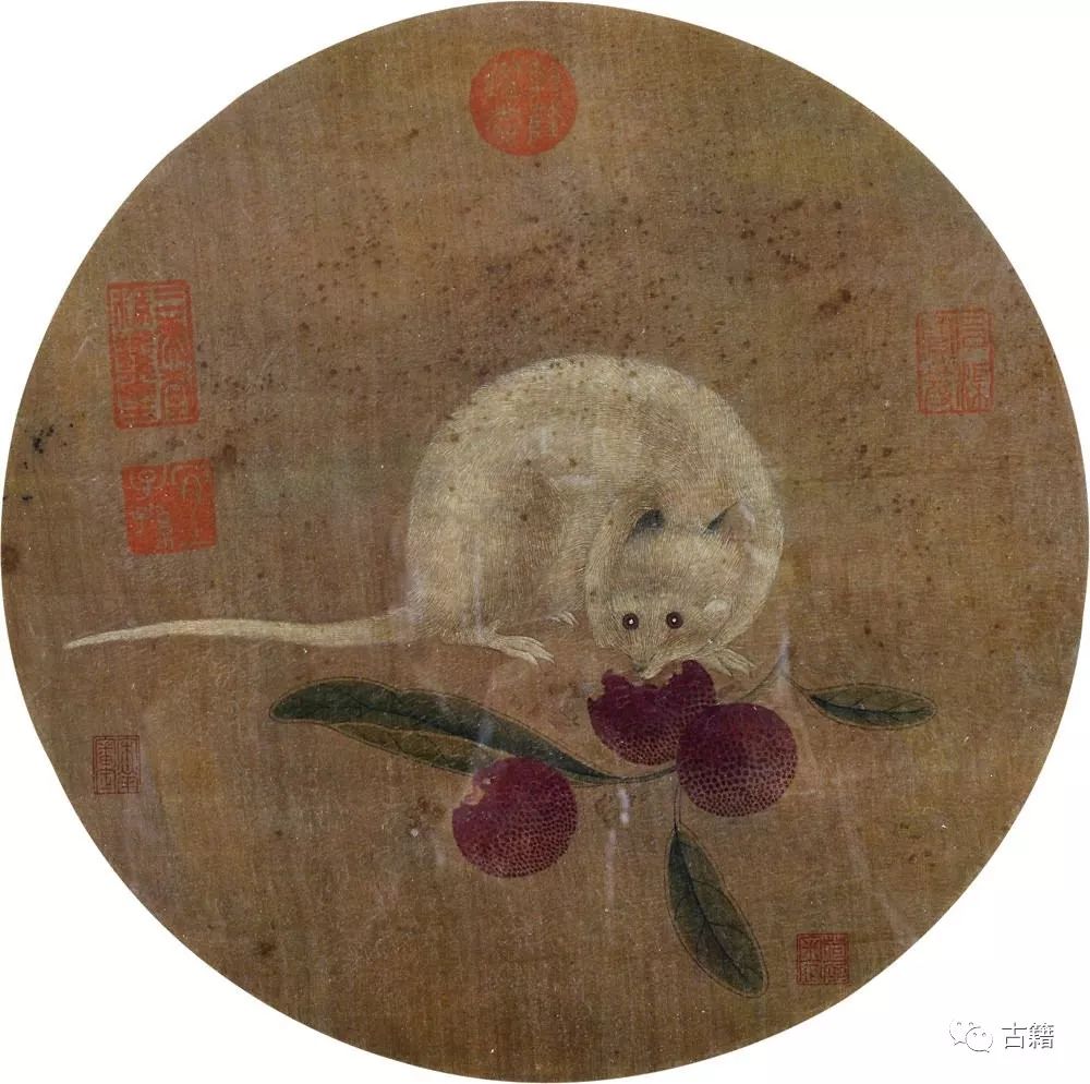 张宁：迎鼠年说鼠联