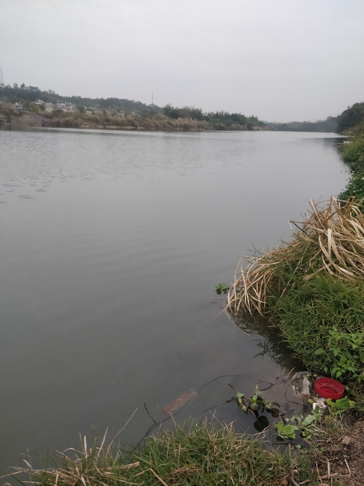 原来钓鲫鱼的诀窍在这里,春钓鲫鱼用什么饵料最好