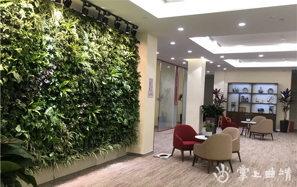 招商银行哪个产品最好,招商银行特色金融服务体验