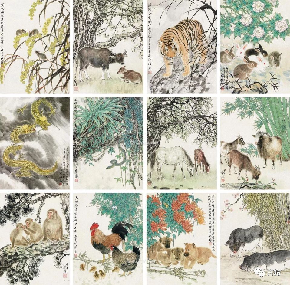 鼠年春晚说鼠,央视科普鼠年说鼠