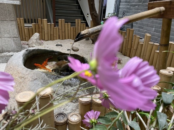 用了两年的苹果11promax续航,苹果11promax和12promax续航对比