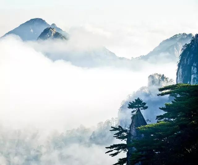 教科书式自我隔离,自我隔离要多少天