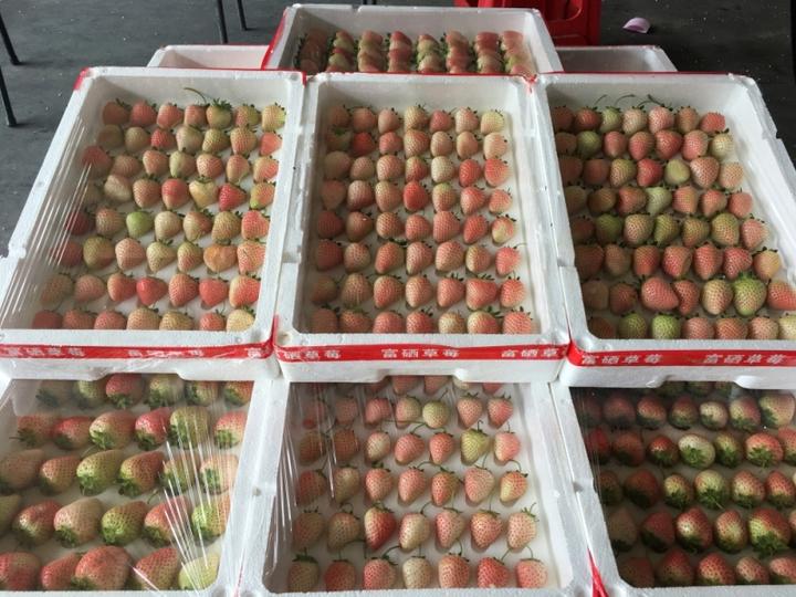 水果市场卖的水果,水果市场高价水果