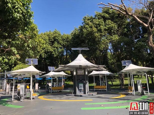 聚焦|市属公园44处健身区暂停开放公园管理中心全力做好公园防疫工作