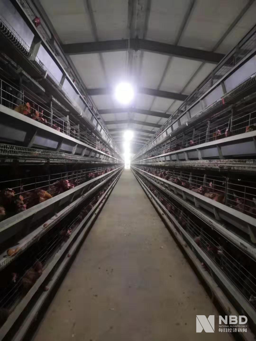 湖北省荆门市养鸡场饲料仓库,养鸡场进不去