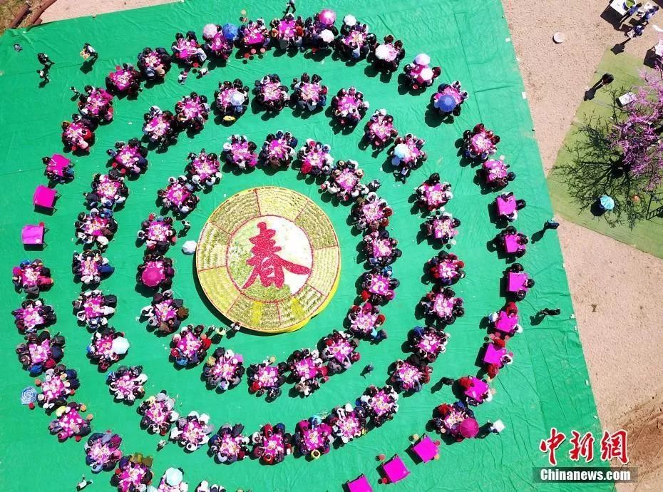 今日立春冬已尽春可期,今日立春春暖花开