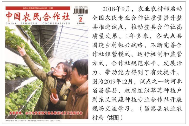 期刊之声|孔祥智：合作社何以联合（之四）——山东省诸城市北端茗茶叶生产专业合作社联合社调查手记