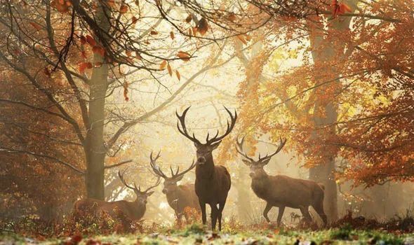 英国高潜力人才签证计划,英国的高潜力人才签证计划